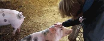 有停牌的意思啊_浙江永强(002489)股吧_东方