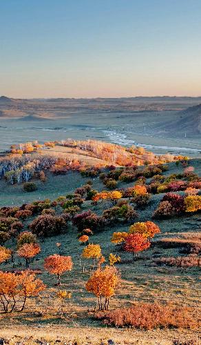 这次下跌套住了所有在九元内补仓的也包括我,