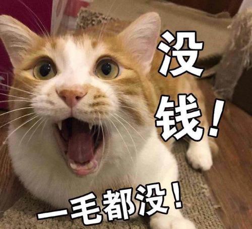 桔红蝈蝈,丑东西,穷鬼_沙隆达A(000553)股吧_