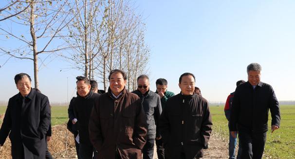 孟振平与国家电投外部董事调研雄安代表处_东