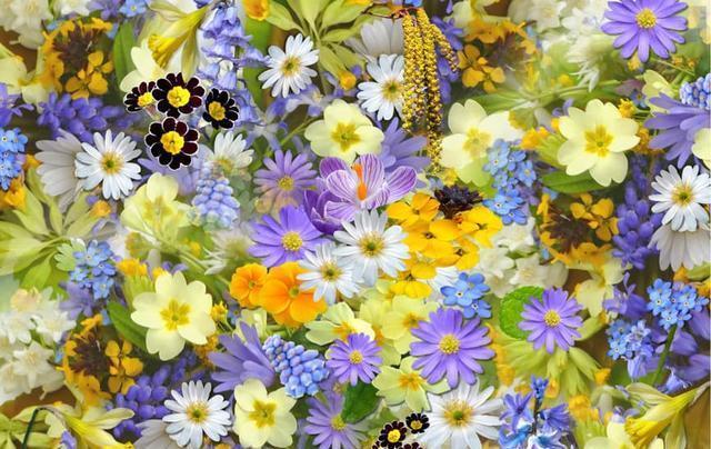 深深房A你们是没机会了,嘉寓股份,雄安概念,恒