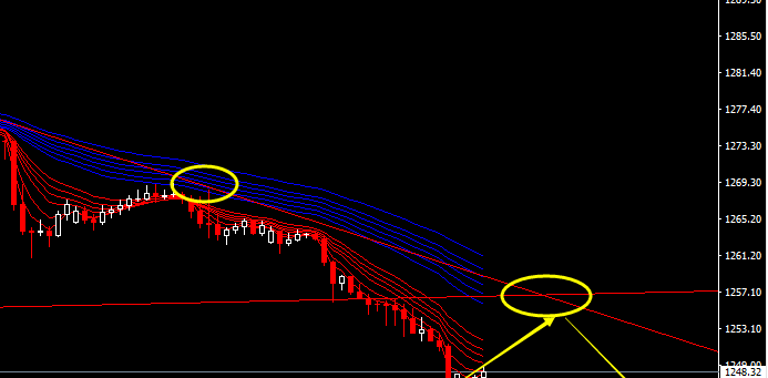 乐易分析师:12.8黄金外汇原油趋势分析与交易