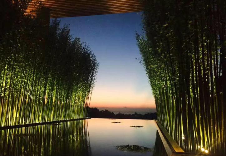 今天无意间暴露了,广哈太不争气了!卖300万就