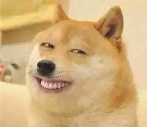 动物大笑的图片_动物世界 动物大笑的图片