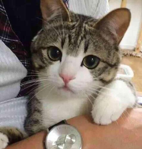 这一波能过前高吗 毕竟 现在除了周老板 赵老板