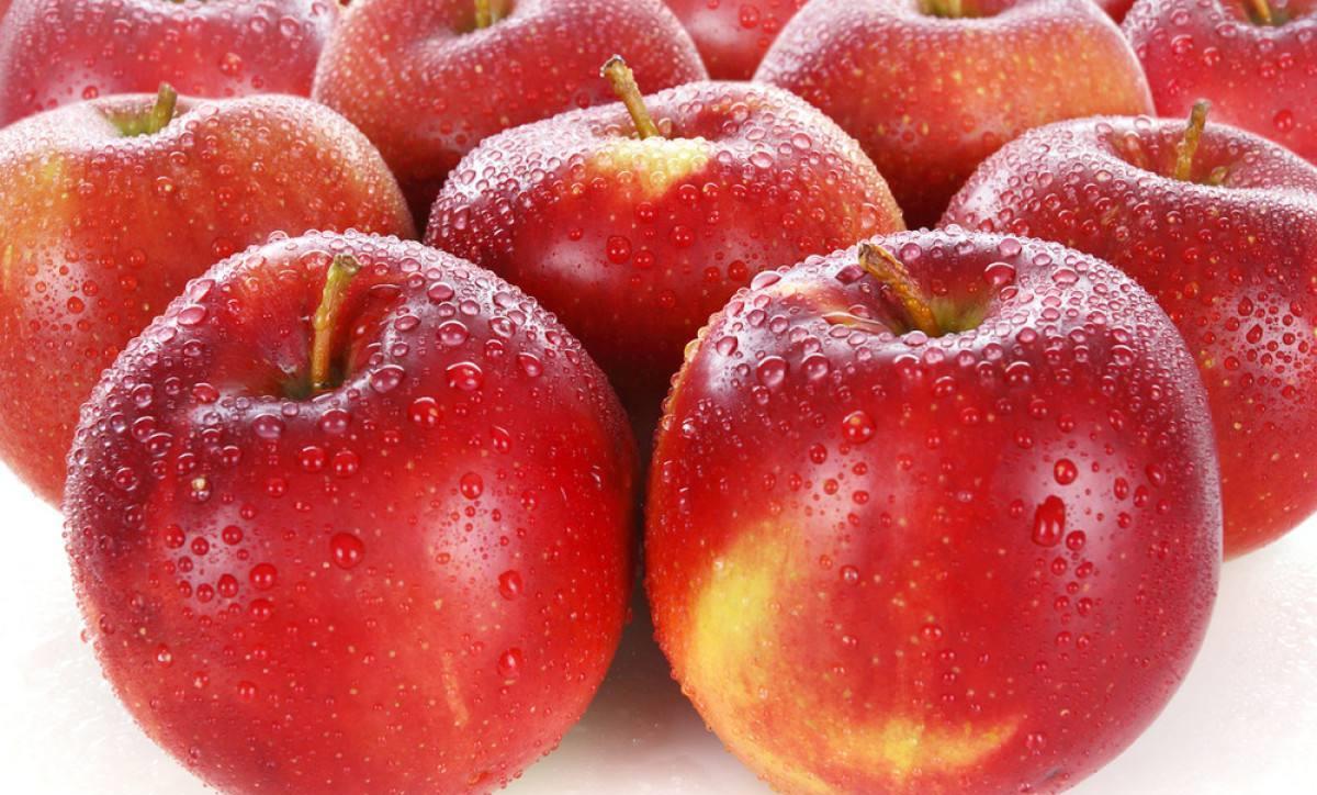 全球首个鲜果期货--苹果期货,将于12月22日挂