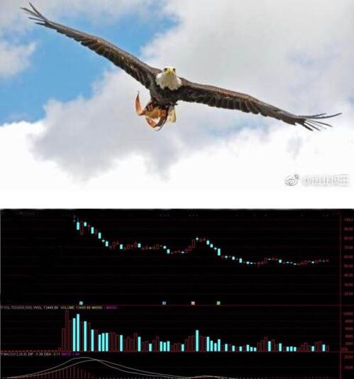 创业黑马2018年4月24日出年报