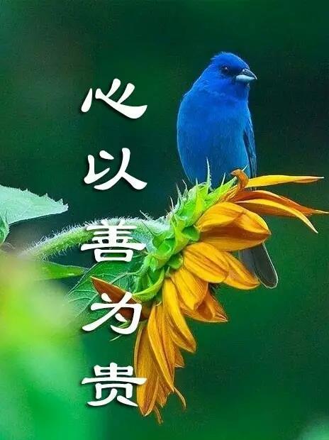 一月份《修辞立其诚》――有道德修养的人