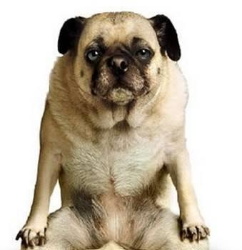 气沉丹田,1.2.3.放,,,,,