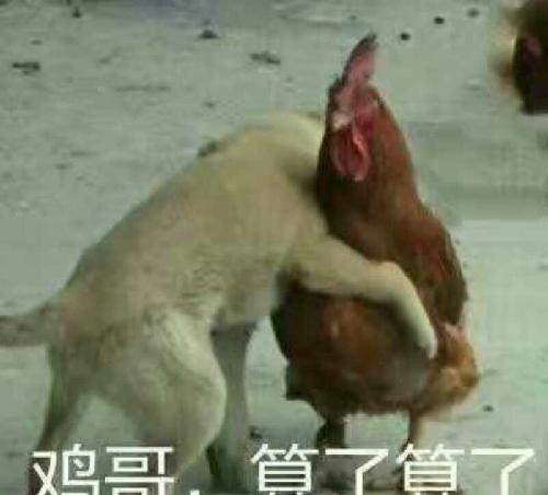 gdp 吃屎_中国gdp增长图(3)