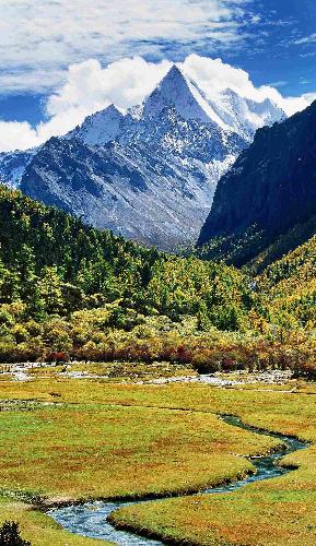 周一高开吃掉上影线,上涨格局也就打开了! 底部