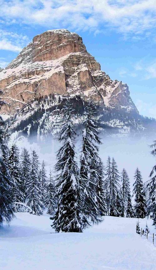 周一高开吃掉上影线,上涨格局也就打开了! 底部