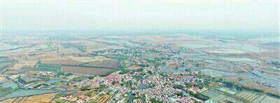 2018水泥板块第一龙头黑马牛股妖王401愚人节