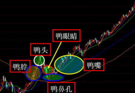 任何调整都是打压诱空逢低吸货的绝佳时机只有赌徒才会去开空!