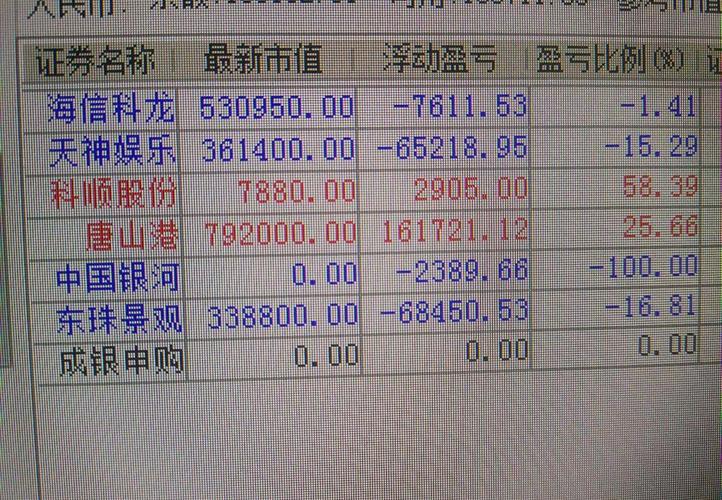 特斯拉空头亏损_2018股市人均亏损(3)