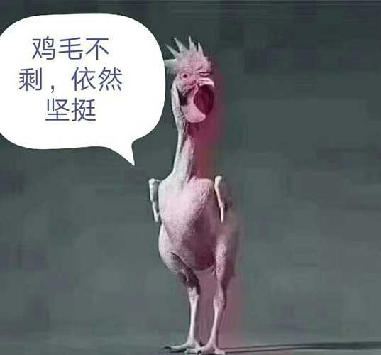 鸡毛不剩