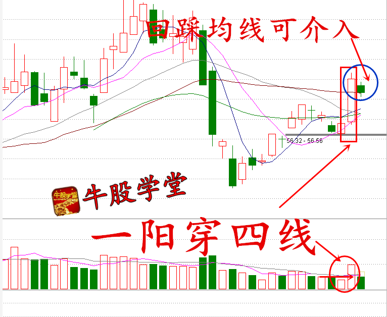 强势构筑黄金坑,一阳穿四线,长阳暴力上攻,回踩均线可介入!