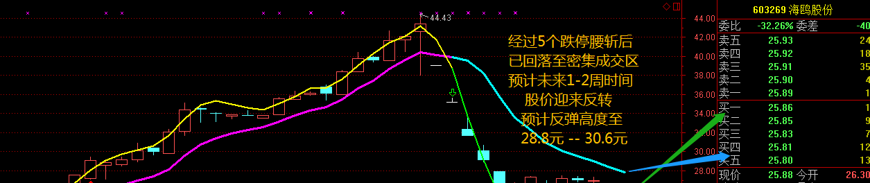 海鸥股份走势预测,附上成交图_海鸥股份(603269)股吧
