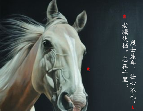 老骥伏枥志在千里烈士暮年壮心不已
