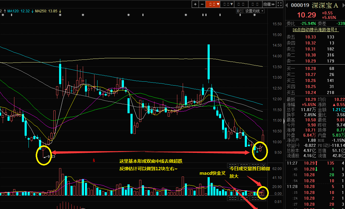 深深宝a|超跌反弹双底成立~~~附图解