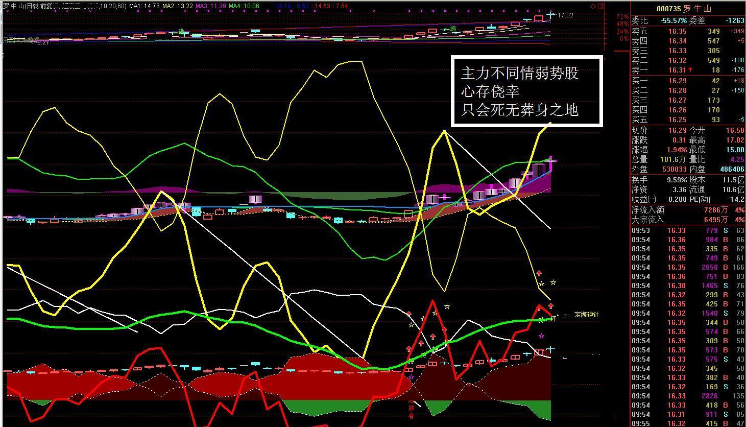 000735罗牛山