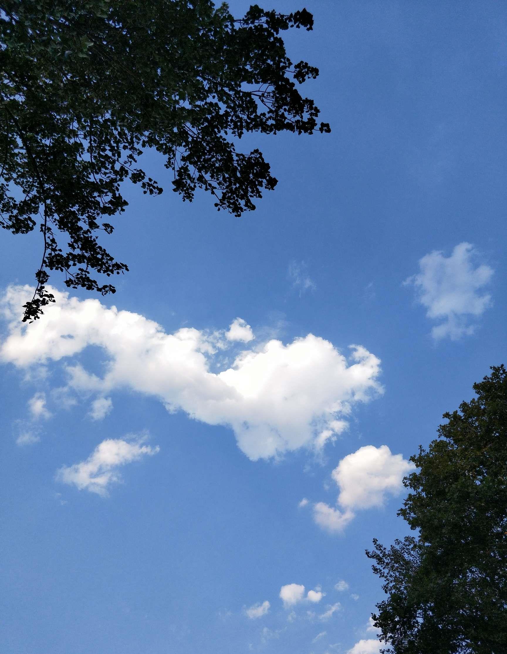 雨过天晴,空气清新.股市睛雨表,嘻嘻