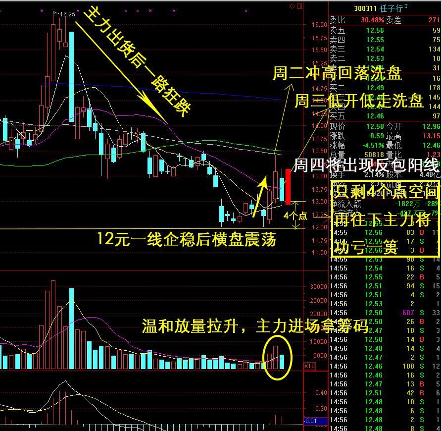 周四大概率出现反包阳线_任子行(300311)股吧_东方网