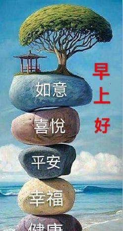 下午好![献花]