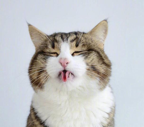 富贵在天生死有命_生死有命富贵在天字体_纹身富贵在天生死有命-圈子花园图片