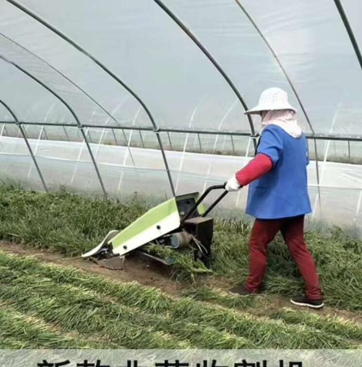 割韭菜啦