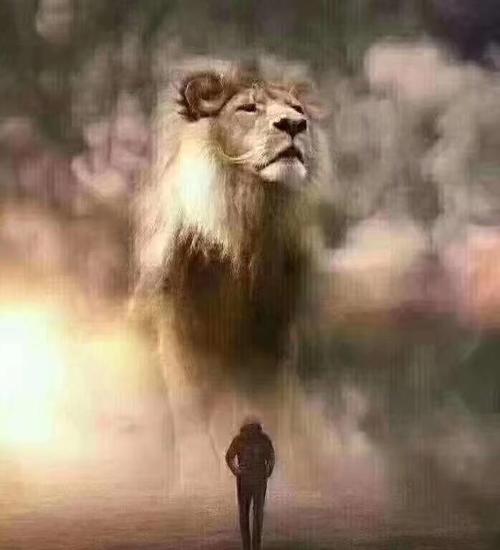 苦难中依然赞美简谱