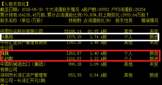 外运发展披露了半年报,前10大流通股东新进的5个个人股东全是超级牛散