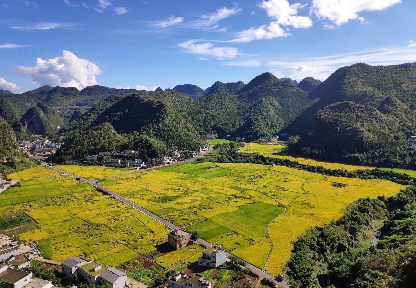 黔西南兴义市万峰林天.田园风光.