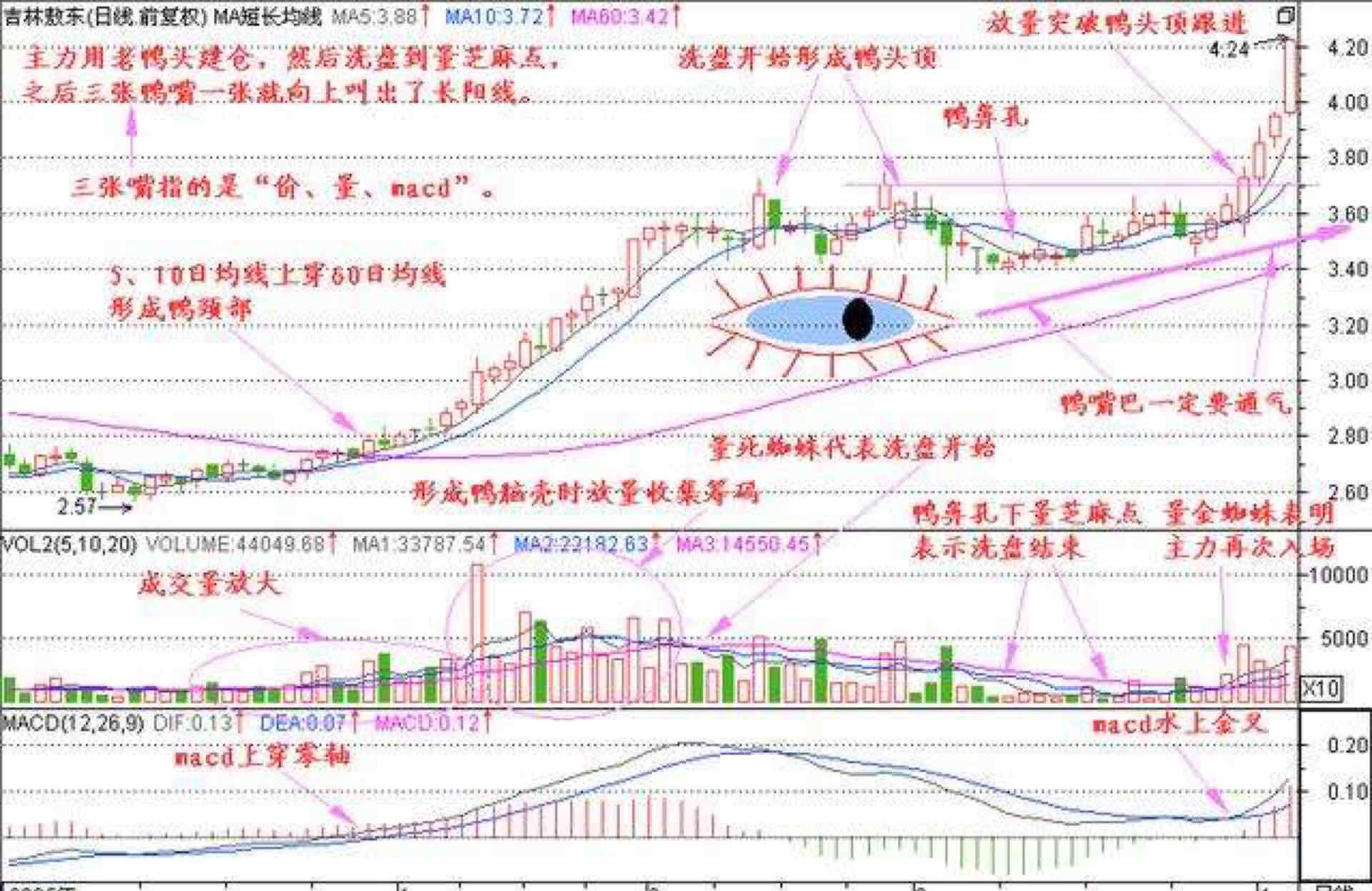 千金难买老鸭头,我说的只能这么多,送给有缘人!