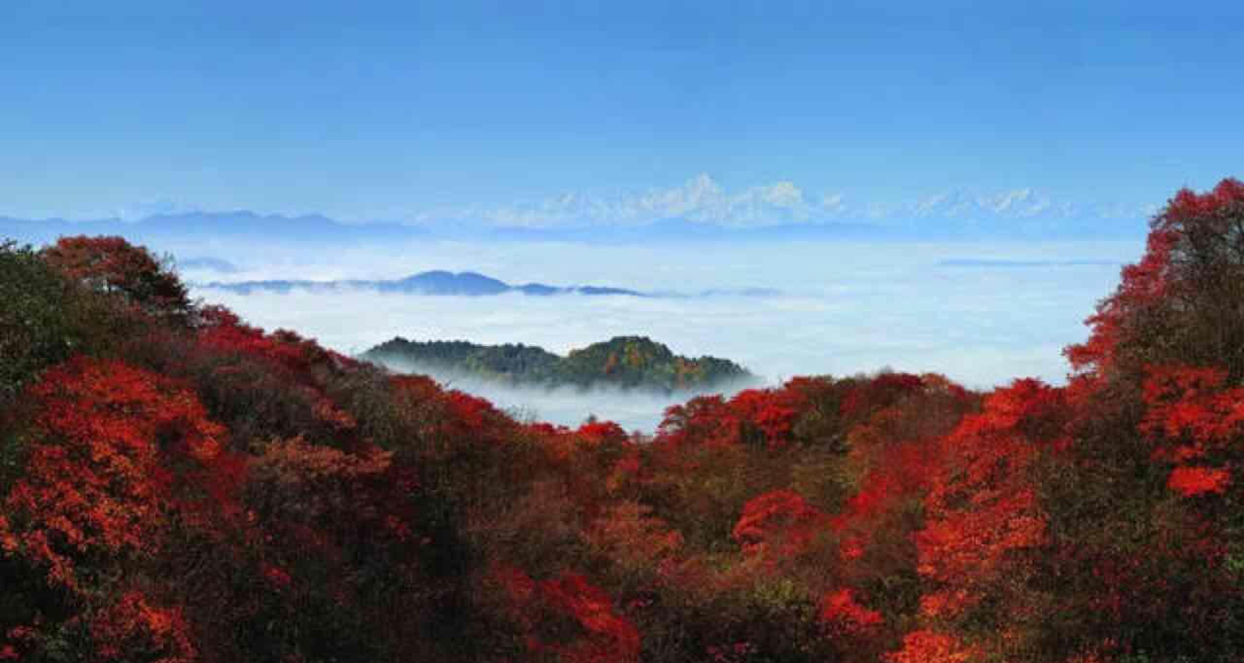但是峨眉山美景依旧.实地去看下.开阔心境.展望未来!