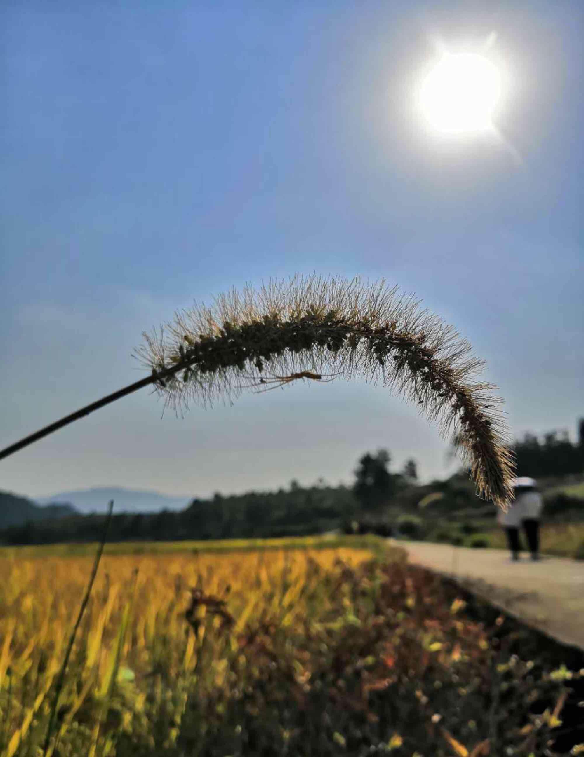 积土成山 !积水成渊 !君子是这样炼成的!快到了收获的