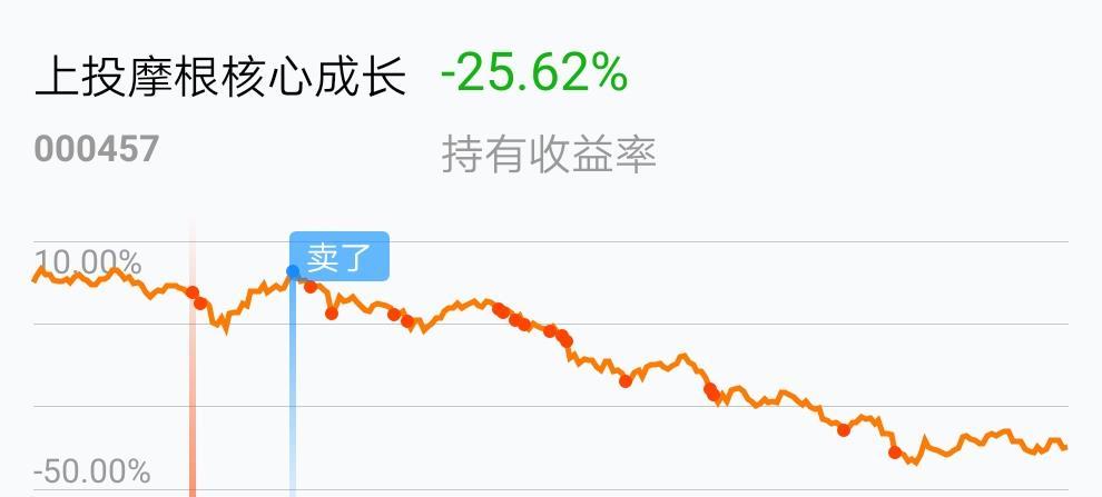 长期持有加上逢低买入就是这个造型,-25%