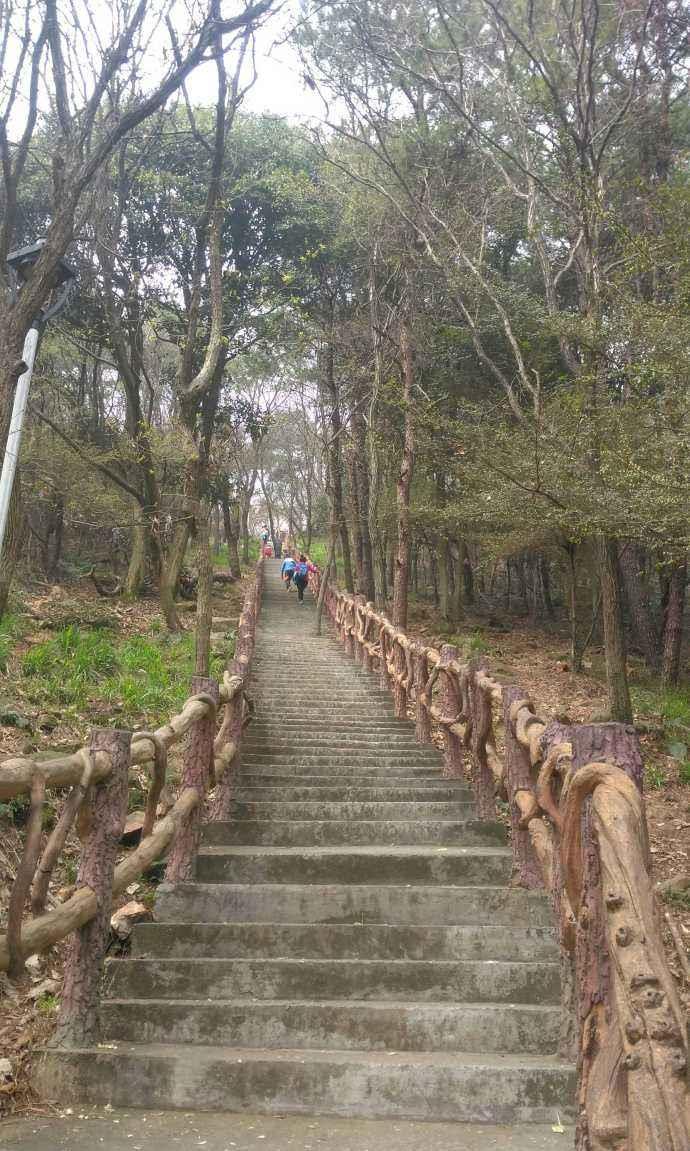 和义龙一起爬八分山!
