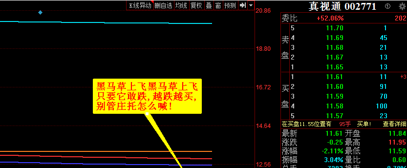 只要它敢跌,越跌越买,_真视通(002771)股吧_东方财富