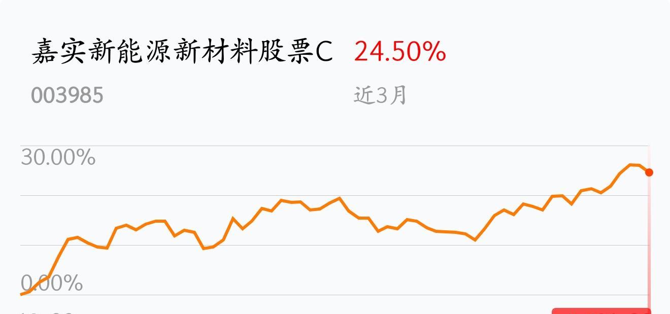 我在2019-01-29 19:46:29买入了嘉实新能源新材料股票