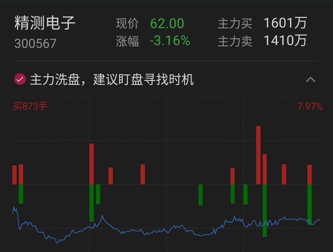 精测电子(300567)