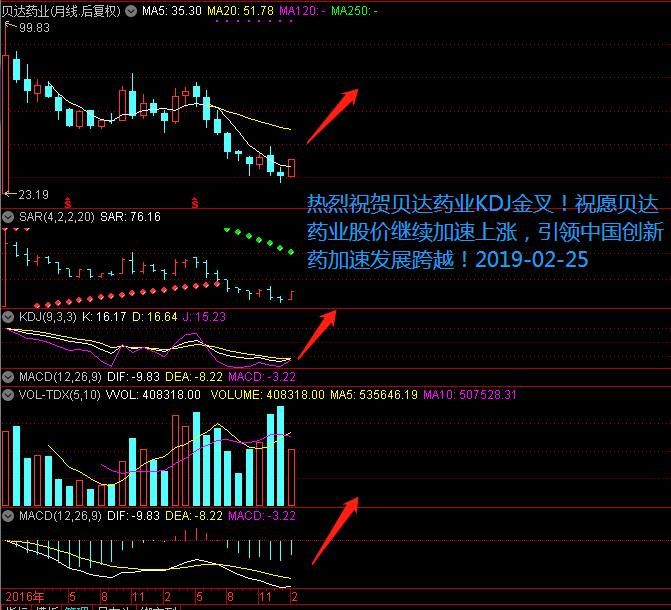 热烈祝贺贝达药业月线kdj金叉!