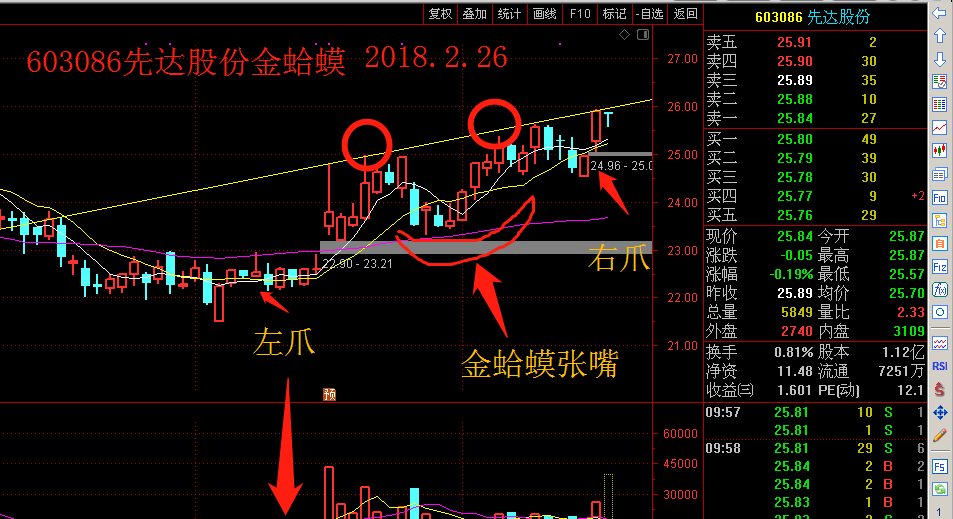 先达股份金蛤蟆形态 见图_先达股份(603086)股吧_东方