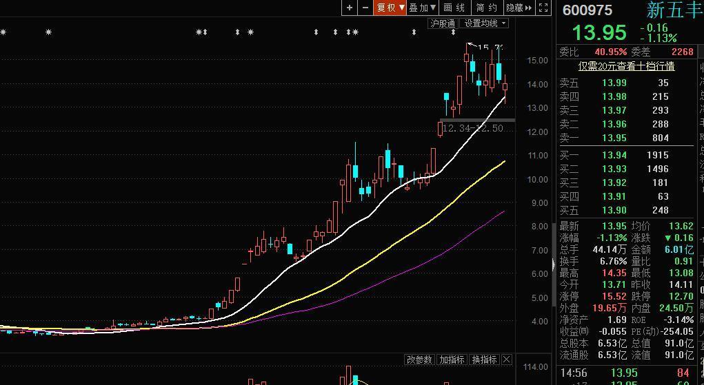 600975是强势股,白线是支撑线,站上白线即将上升.大家不要太着急了.