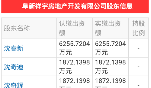 文化自然人股东,沈奇辉,沈奇迪何许人?兄弟俩