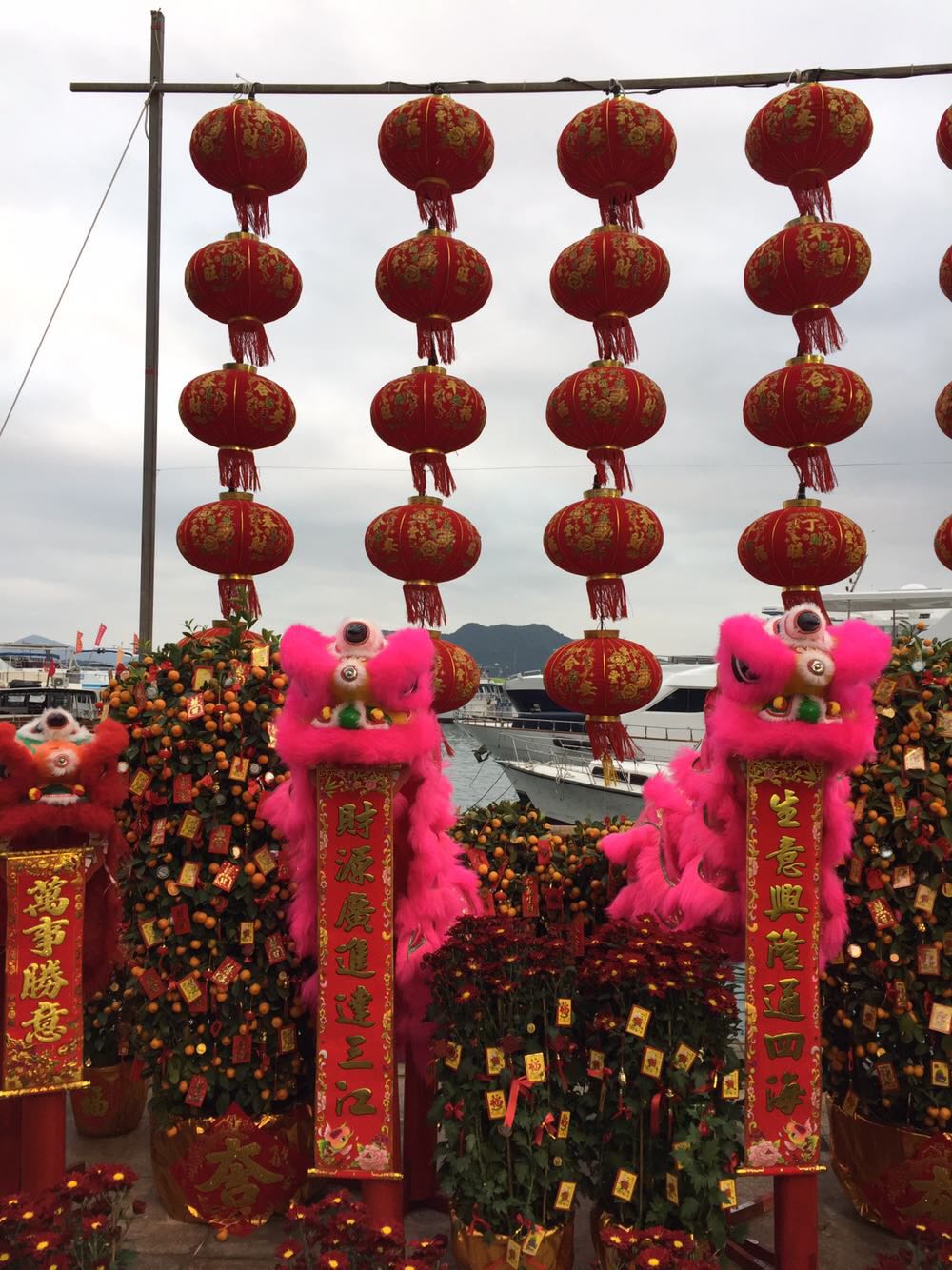 祝福各位股友鼠年顺心如意!