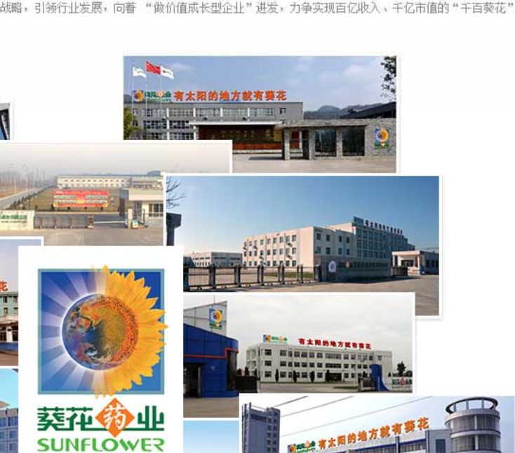 葵花药业利巴韦林颗粒是子公司衡水得菲尔生产的