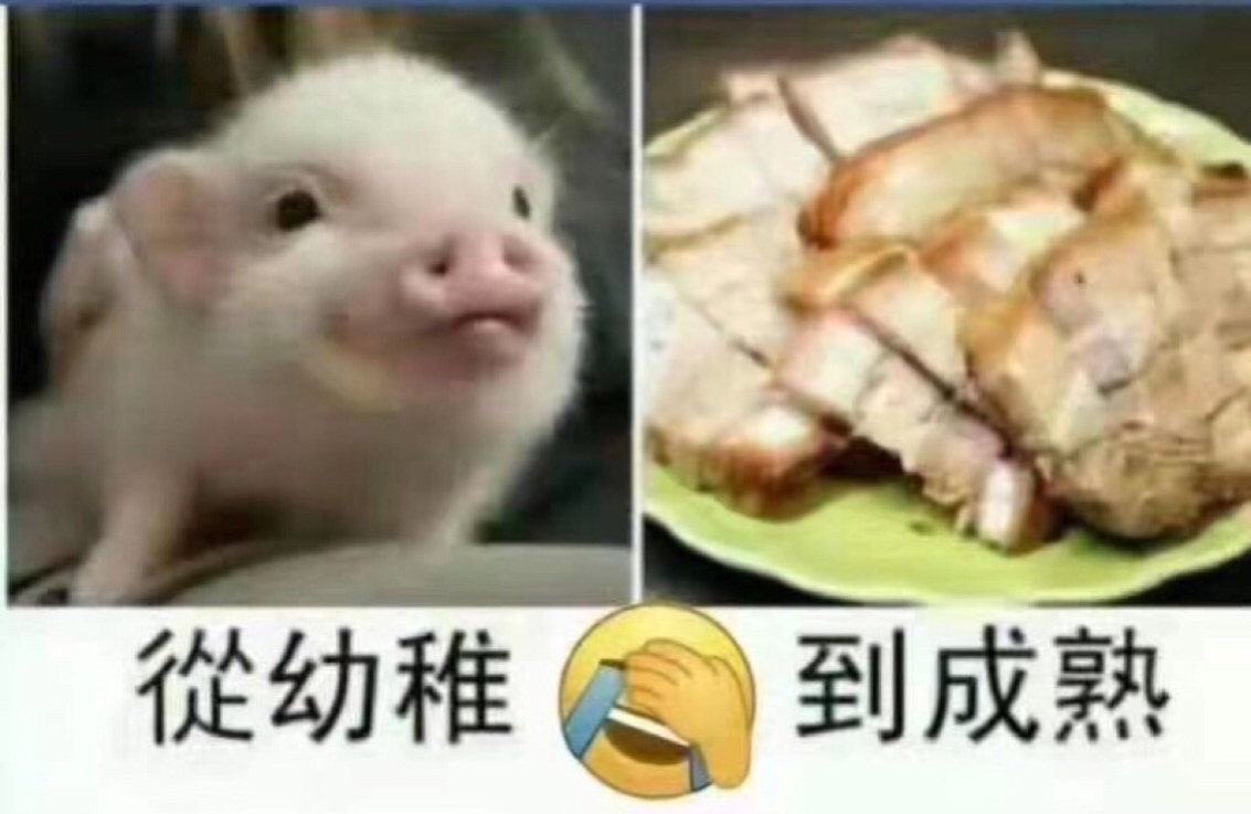一群井底之蛙的小儿科从现在的幼稚到*st后的成熟!准准准!有图有真相