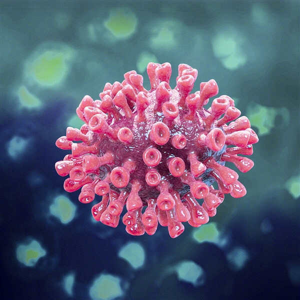 《柳叶刀》公布了新型冠状病毒的彩色照片,在电子显微镜下,这颗病