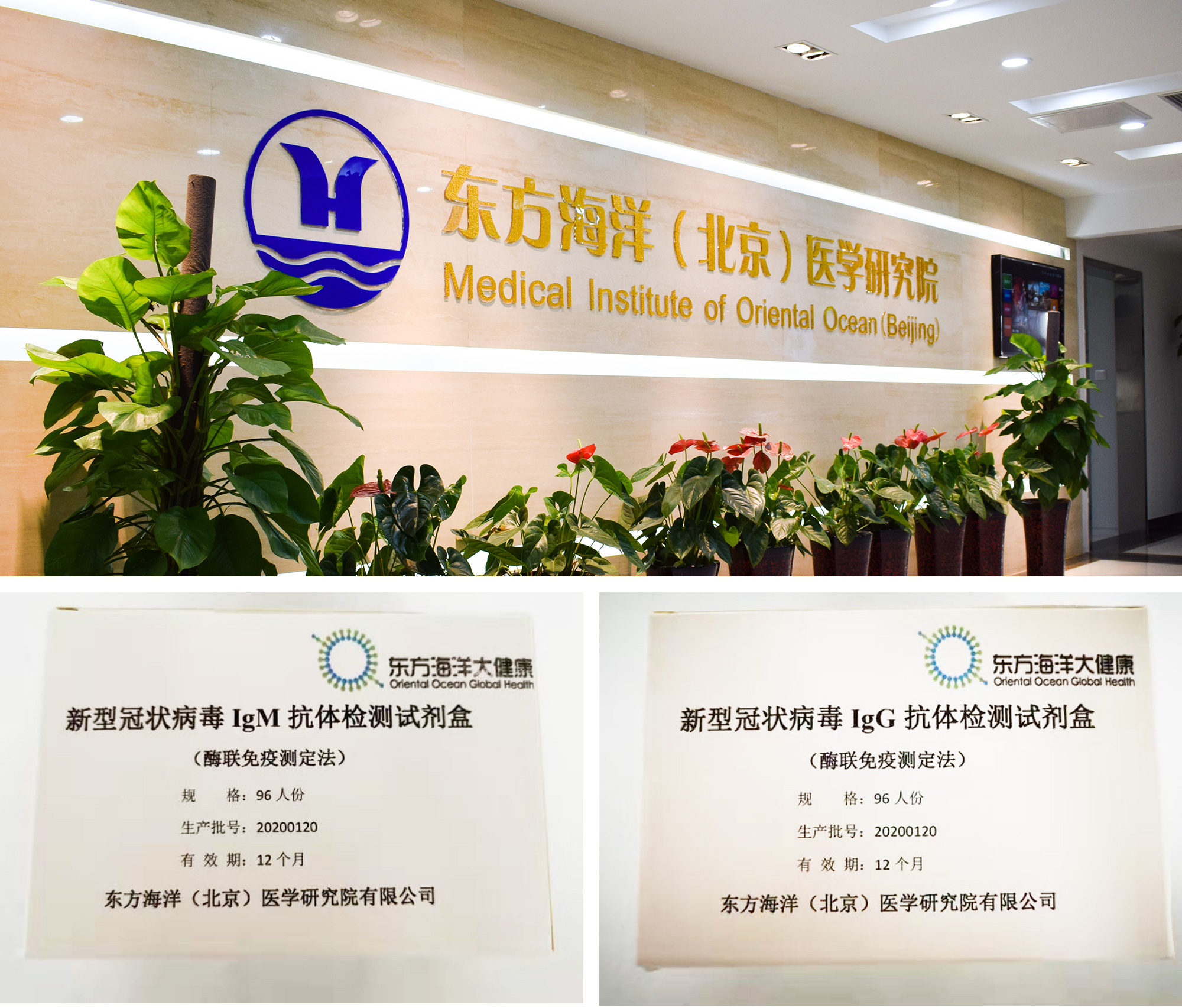 东方海洋同时制成两种酶免疫法igm抗体检测试剂盒和igg抗体检测试剂盒